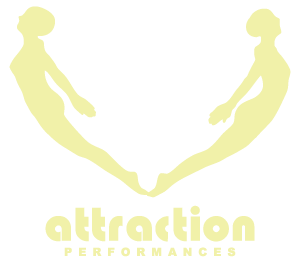 Attraction Academy | Jelentkezz Te is!